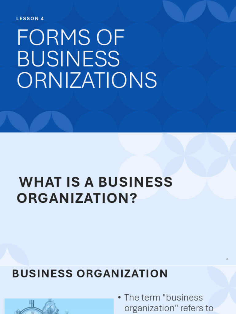 Types of Business Organizations Explained | PDF | Corporations | Sole ...
