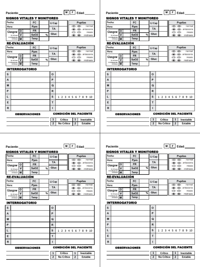 Formato Signos Vitales JLAN | PDF