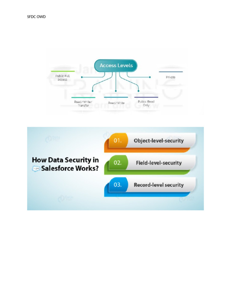 SFDC Record Level Security | PDF