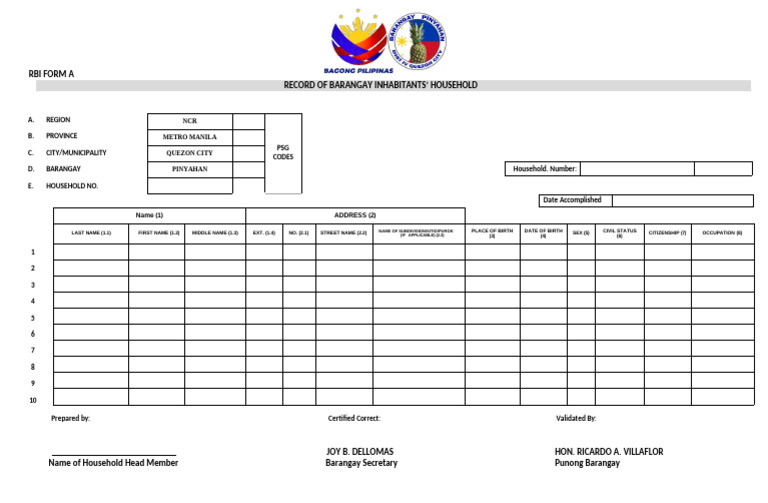 Barangay Household Record Form | PDF