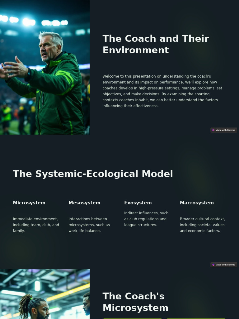 Coaching Environment & Performance | PDF | Leadership | Natural Environment