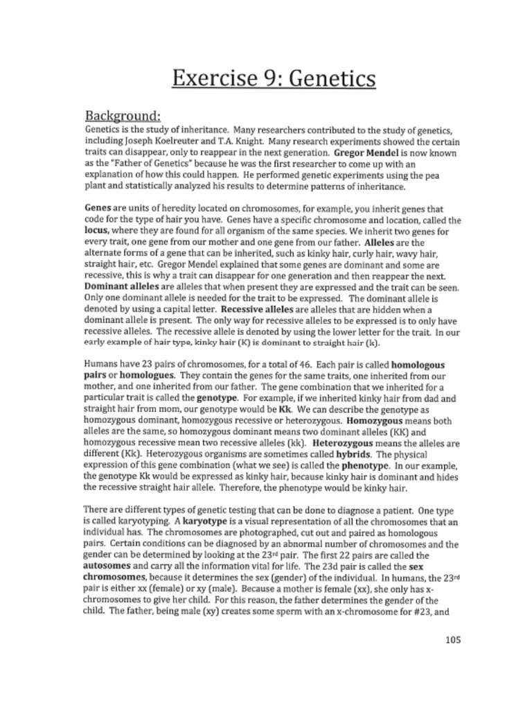 Lab+Manual+ +Part+4 | PDF