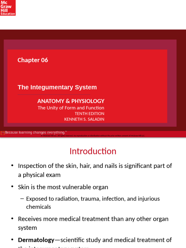 Integumentary System Overview and Functions | PDF | Epidermis | Skin