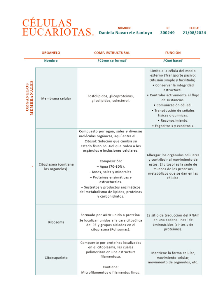 Estructura y Función de Células Eucariotas | PDF | Citoplasma ...
