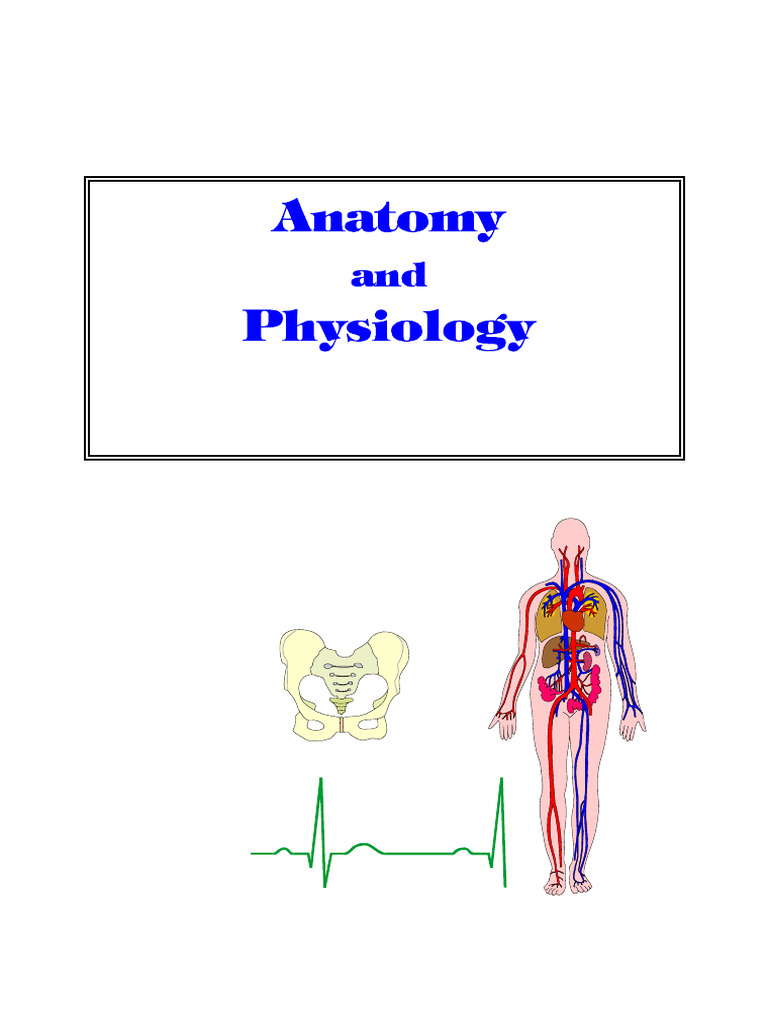 Anatomy and Physiology Book | PDF | Human Body | Epithelium