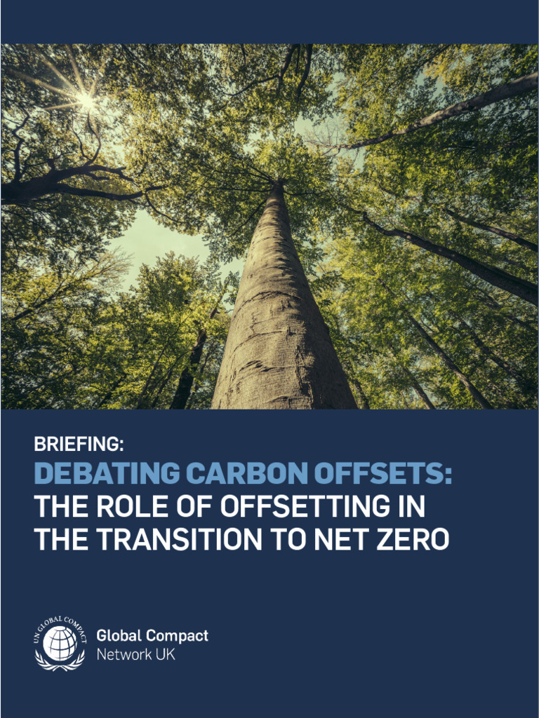 Carbon Offsets in Net Zero Debate | PDF | Climate Change Mitigation ...