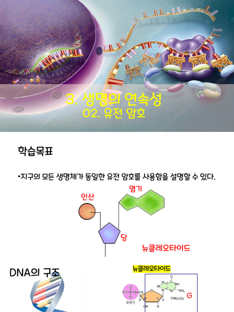 10. 유전 암호 | PDF