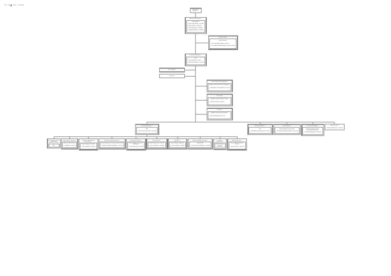 Organization Structure Overview | PDF | Corporations | Governance