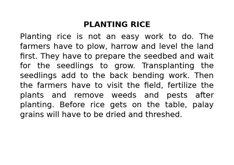 Planting Rice | PDF
