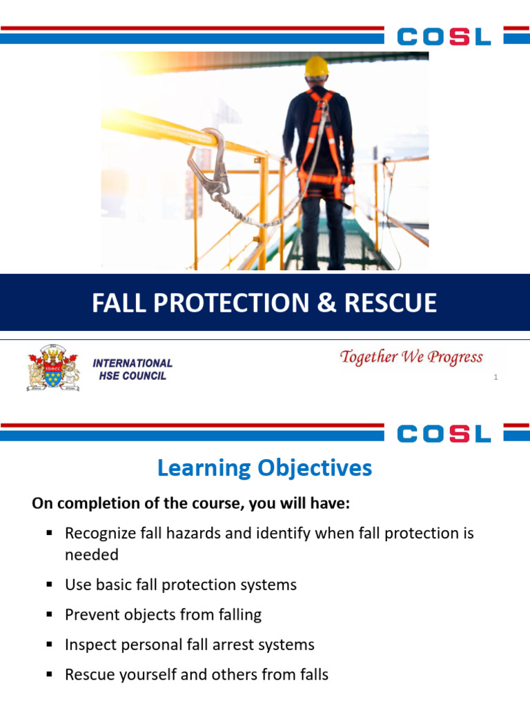 Fall Protection System Essentials | PDF | Safety
