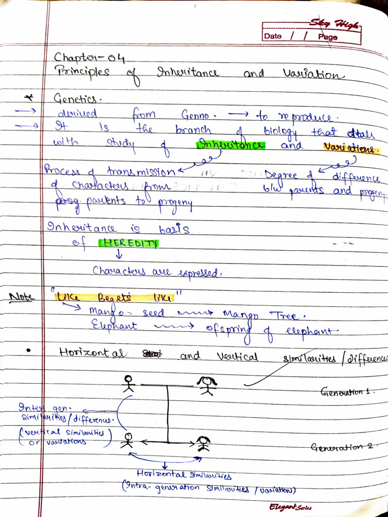 Genetics | PDF