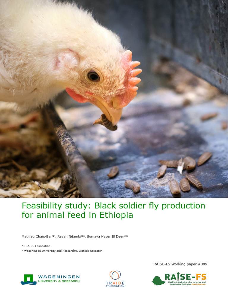 Black Soldier Fly Farming in Ethiopia | PDF | Animal Feed | Waste