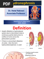 Prehn Sign | PDF | Sexual Anatomy | Male Genital Disorders