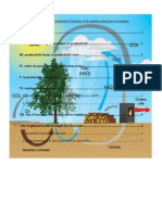 Chapitre III Les Transferts D'énergie Et de Matières Dans Les Ecosystèmes