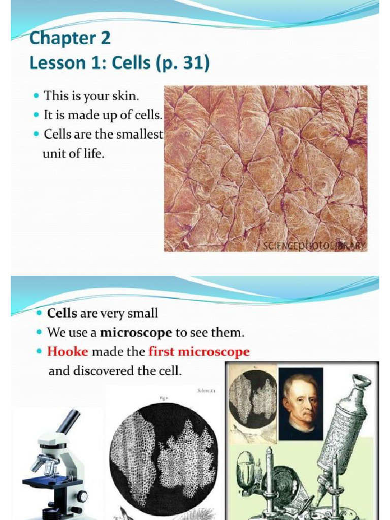 cells | PDF
