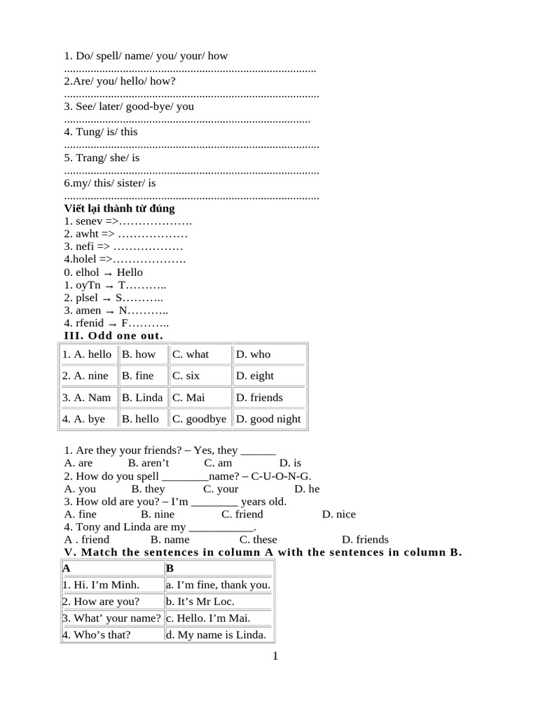 English Language Exercises for Beginners | PDF