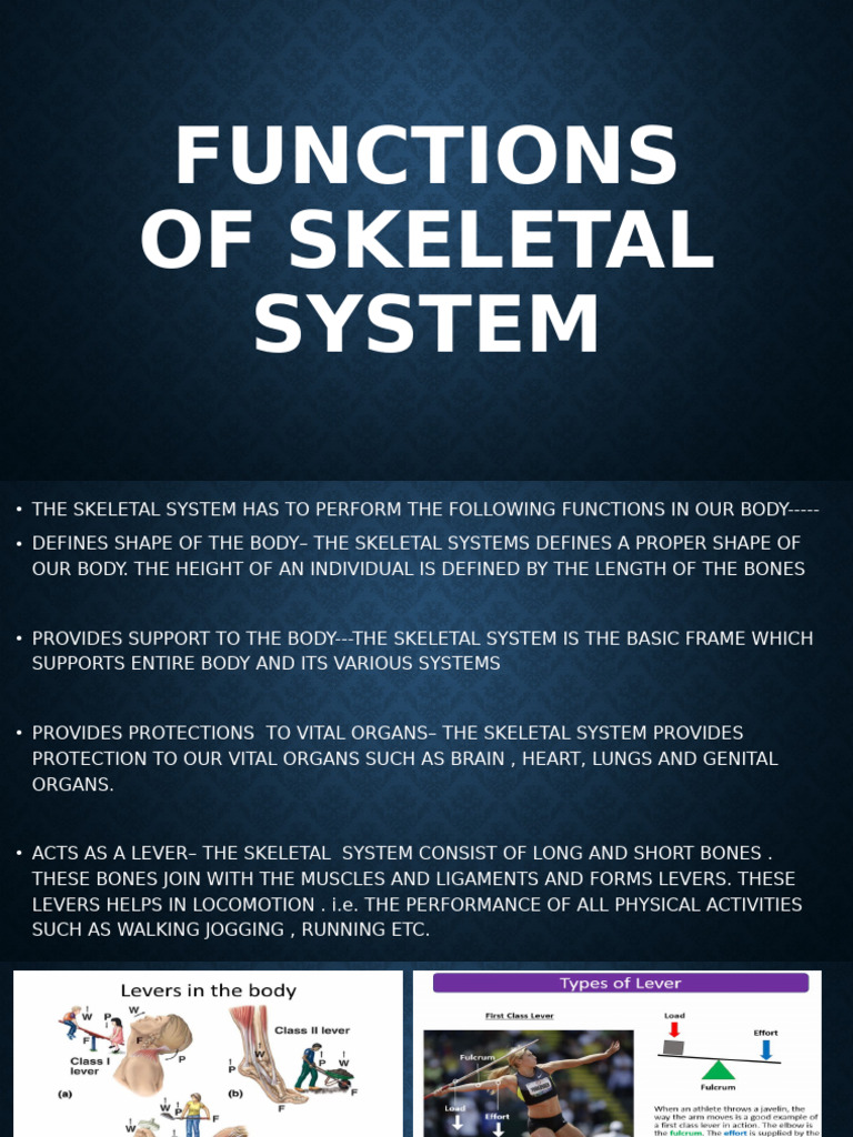 Functions of the Skeletal System | PDF