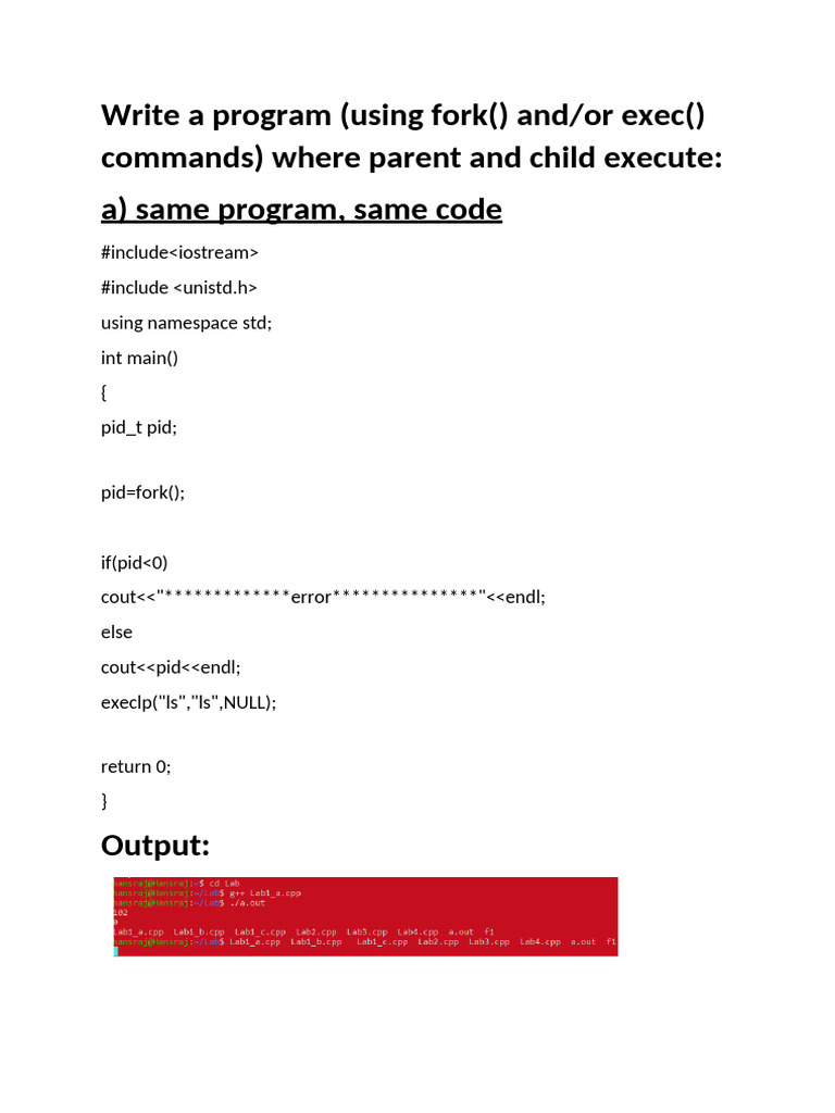 Fork and Exec Program Examples | PDF
