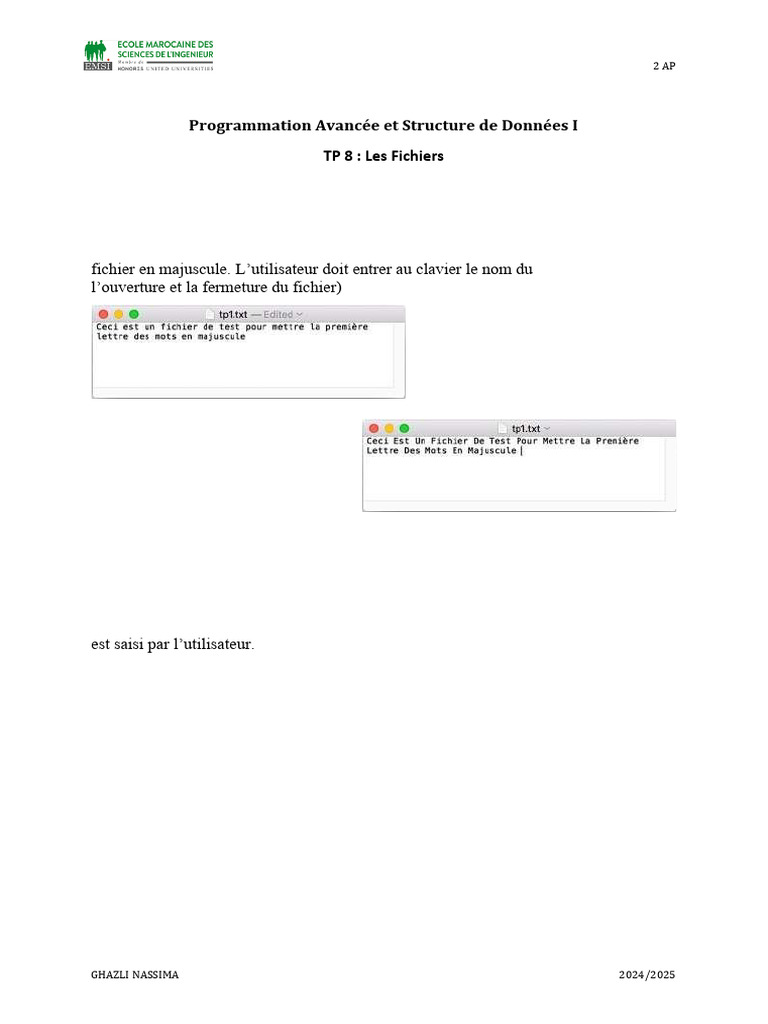TP 8 : Manipulation de Fichiers en C | PDF