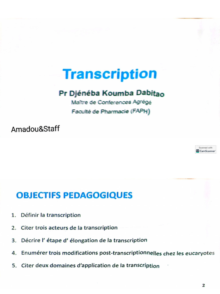 Transcription | PDF