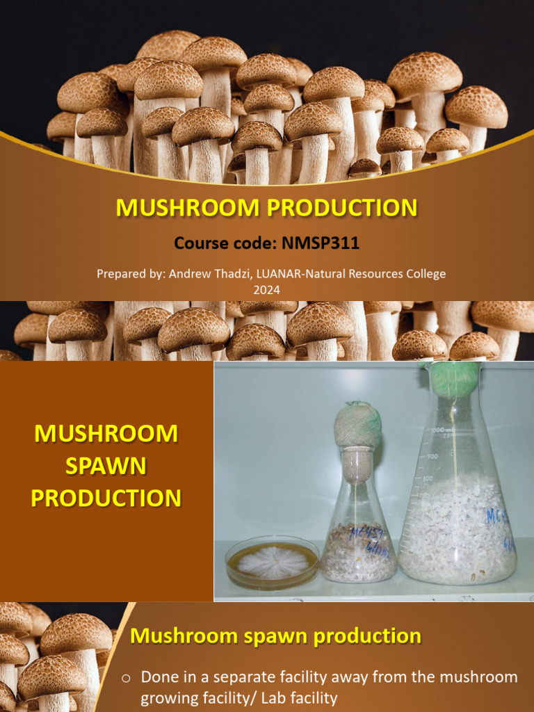 DOC-20240930-WA0054 | PDF | Sterilization (Microbiology) | Agar