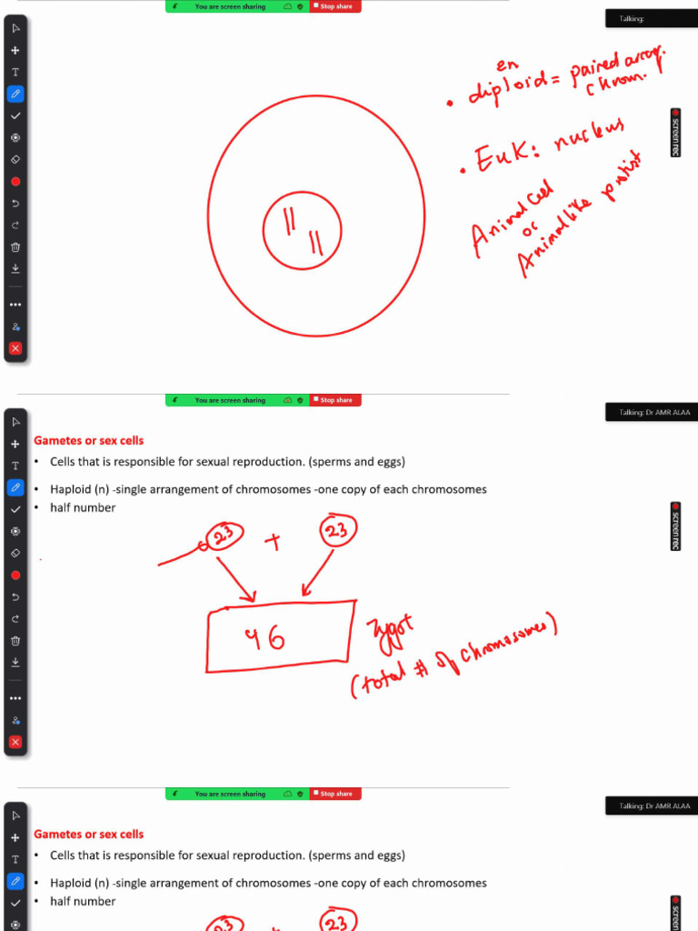 Cell Cycle Session 1 Annotation | PDF