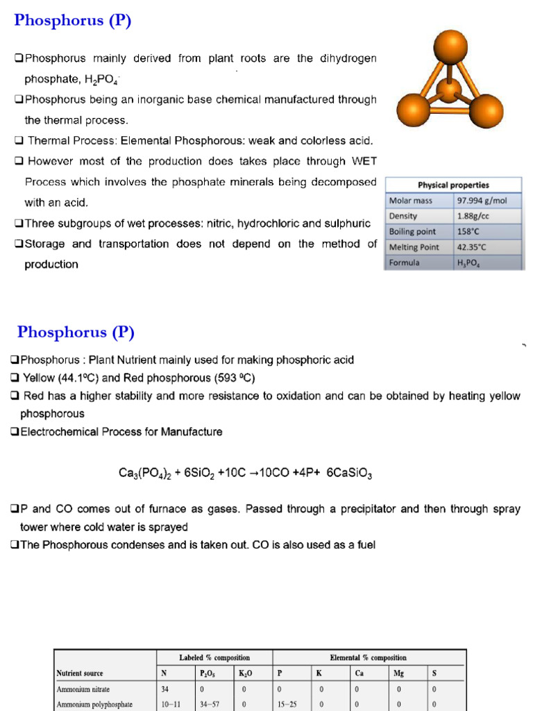 Phosphorus in Fertilizers and Human Body | PDF