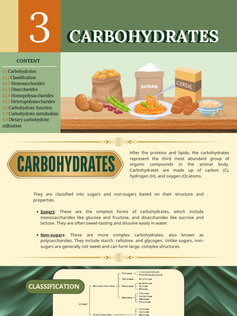 Understanding Carbohydrates: Types & Functions | PDF | Carbohydrates ...