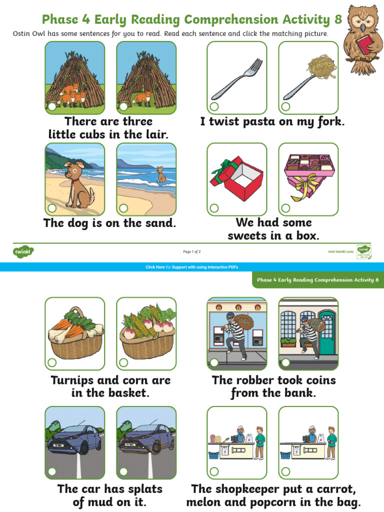 Phase 4 Reading Comprehension Activity | PDF