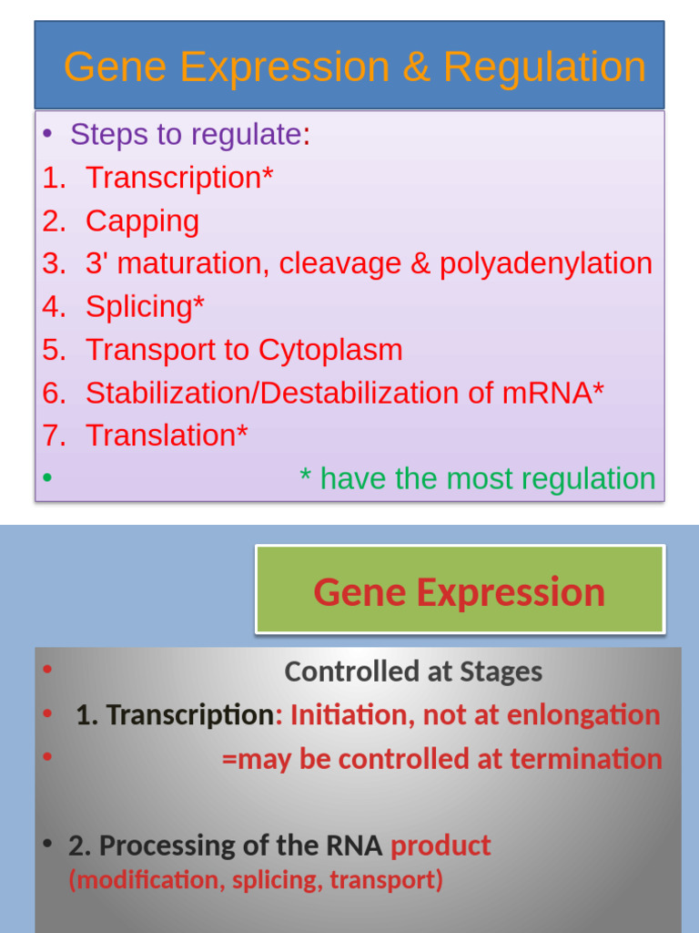 Gene Expression Regulation Overview | PDF | Operon | Promoter (Genetics)