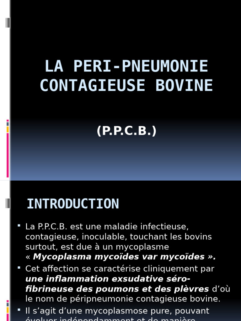 p-ripneumonie-contagieuse-bovine-sympt-mes-et-tiologie-pdf