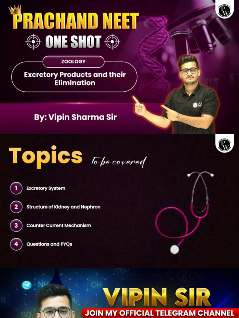 Excretory Products Their Elimination Pdf