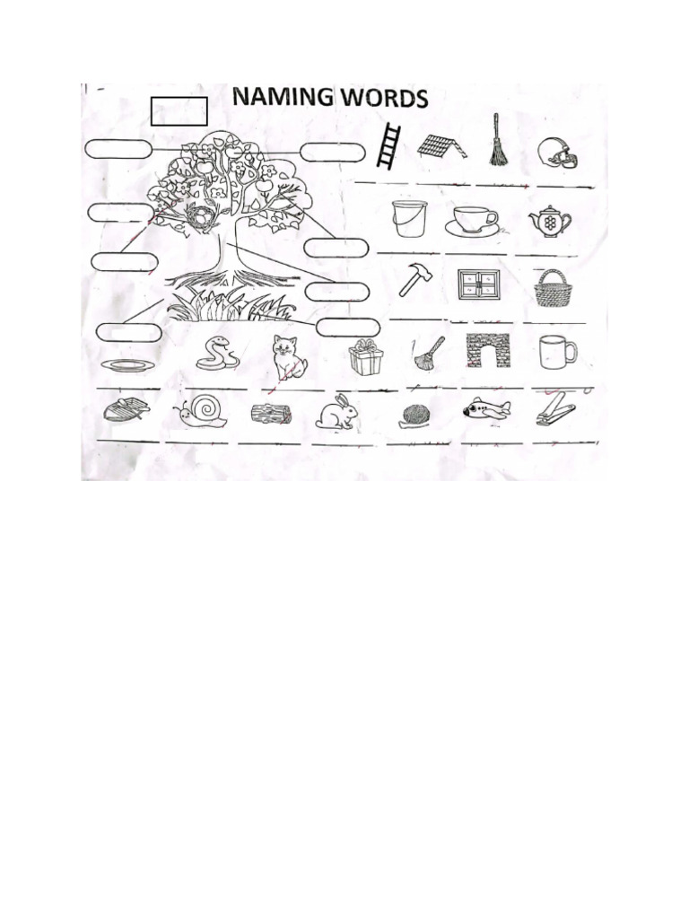 Class 1 prep BVS | PDF