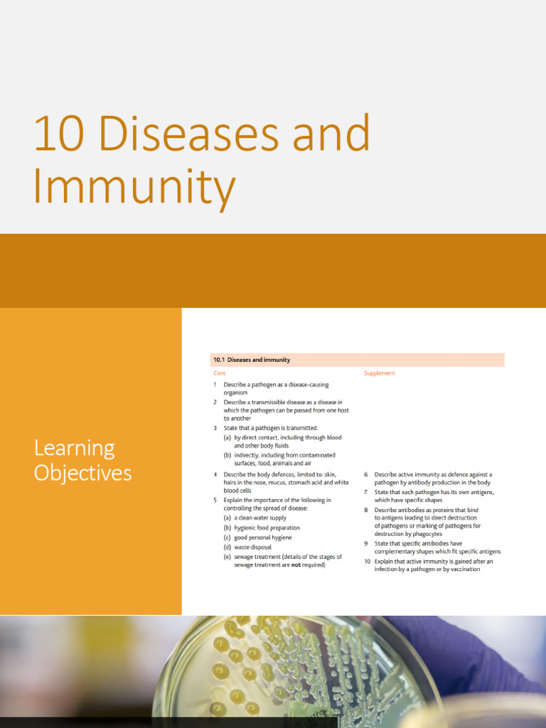 10 Diseases and Immunity_ | PDF | Antibody | Immune System