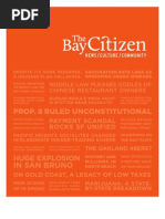 Download Bay Citizen 2010 Final Annual Report by admutter SN82345586 doc pdf
