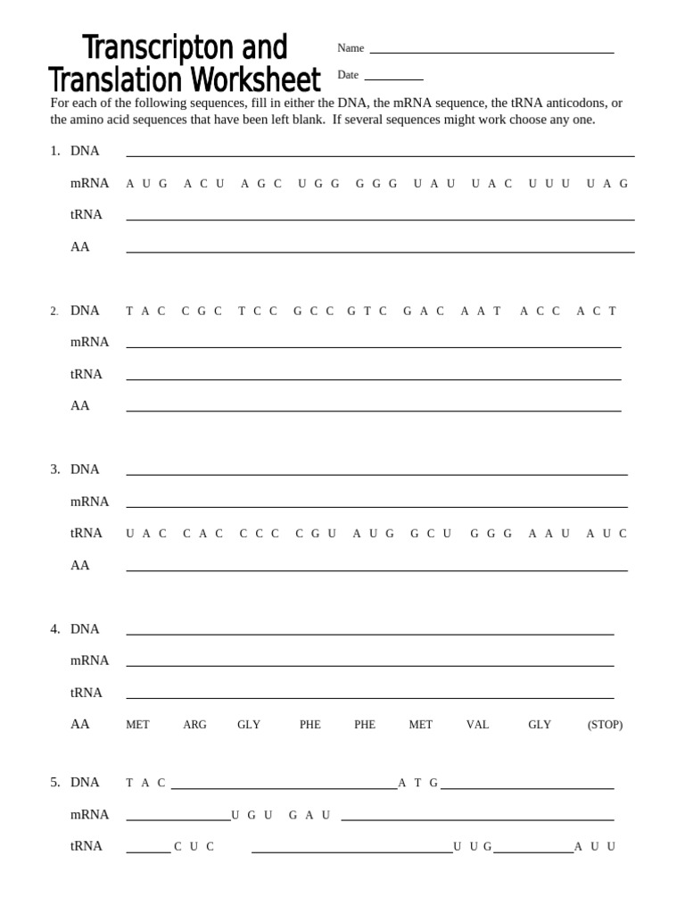 DNA to mRNA Transcription Practice | PDF | Nucleic Acid Sequence ...