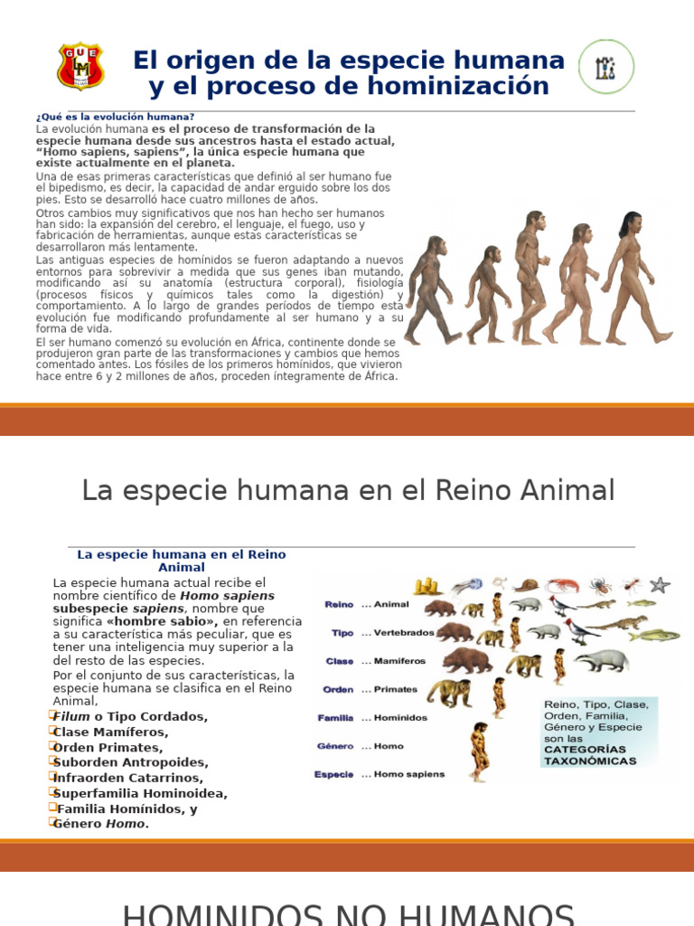 Evolución y origen del ser humano | PDF | Evolución humana | Homo