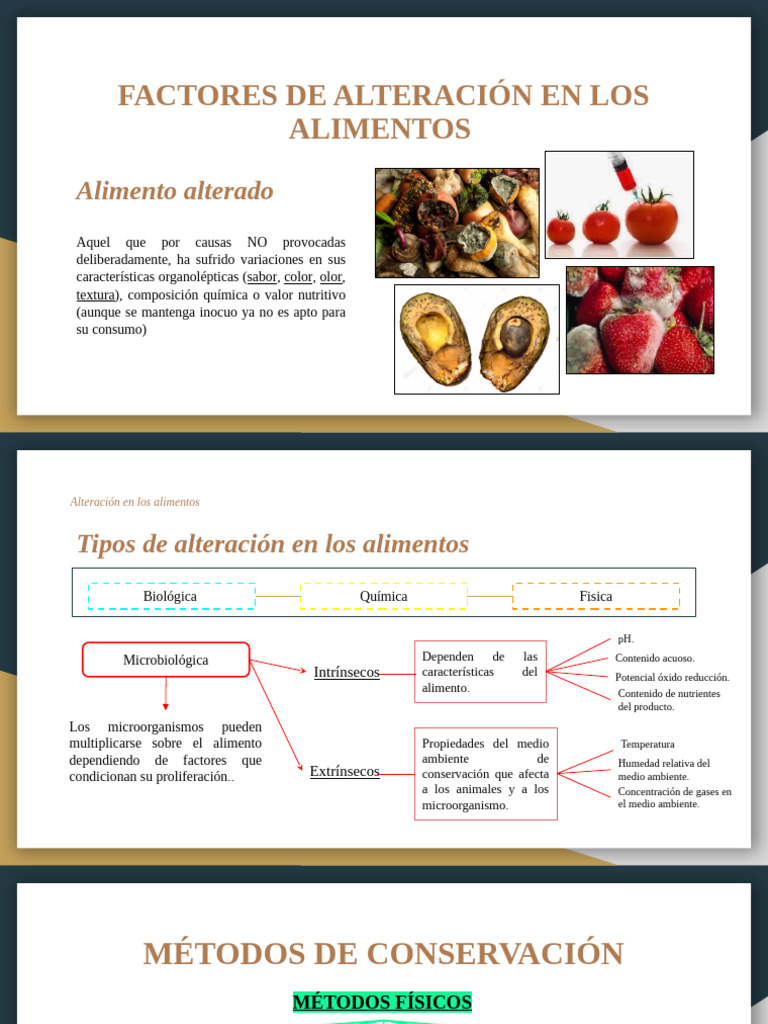 Factores y métodos de alteración alimentaria | PDF | Alimentos | Radiación