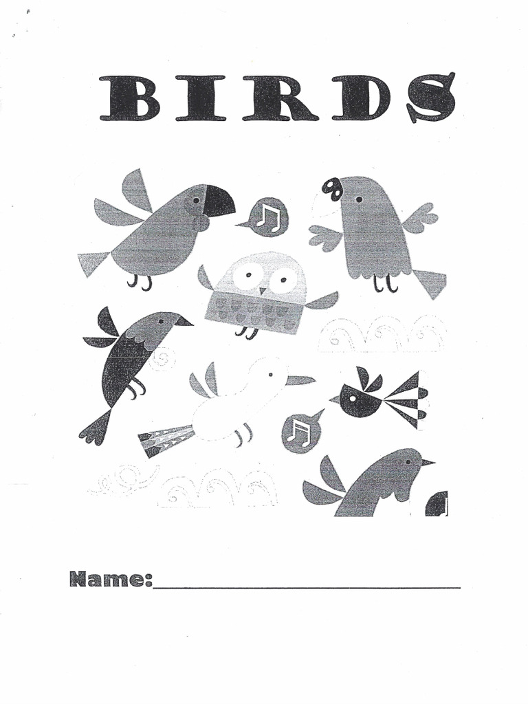 Birds Pages 7 and 8 | PDF