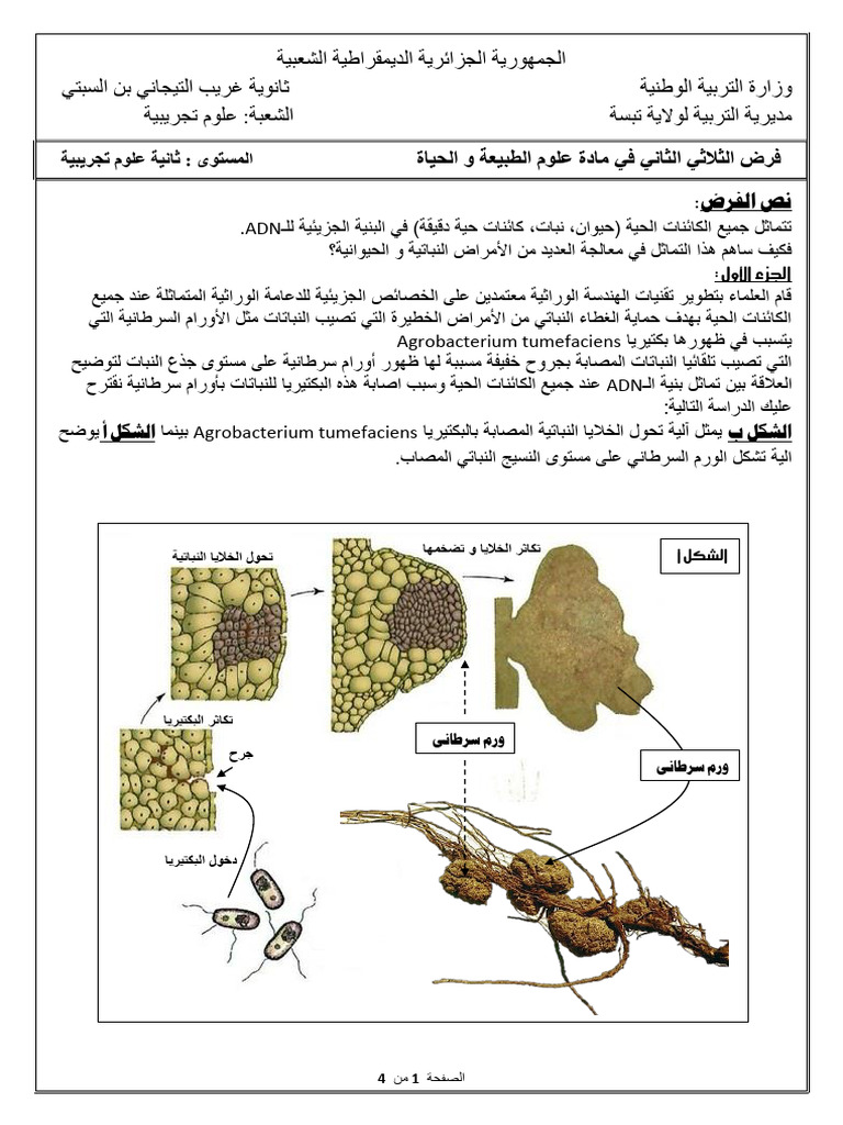 الفرض الأستاذ فيلالي أنور | PDF