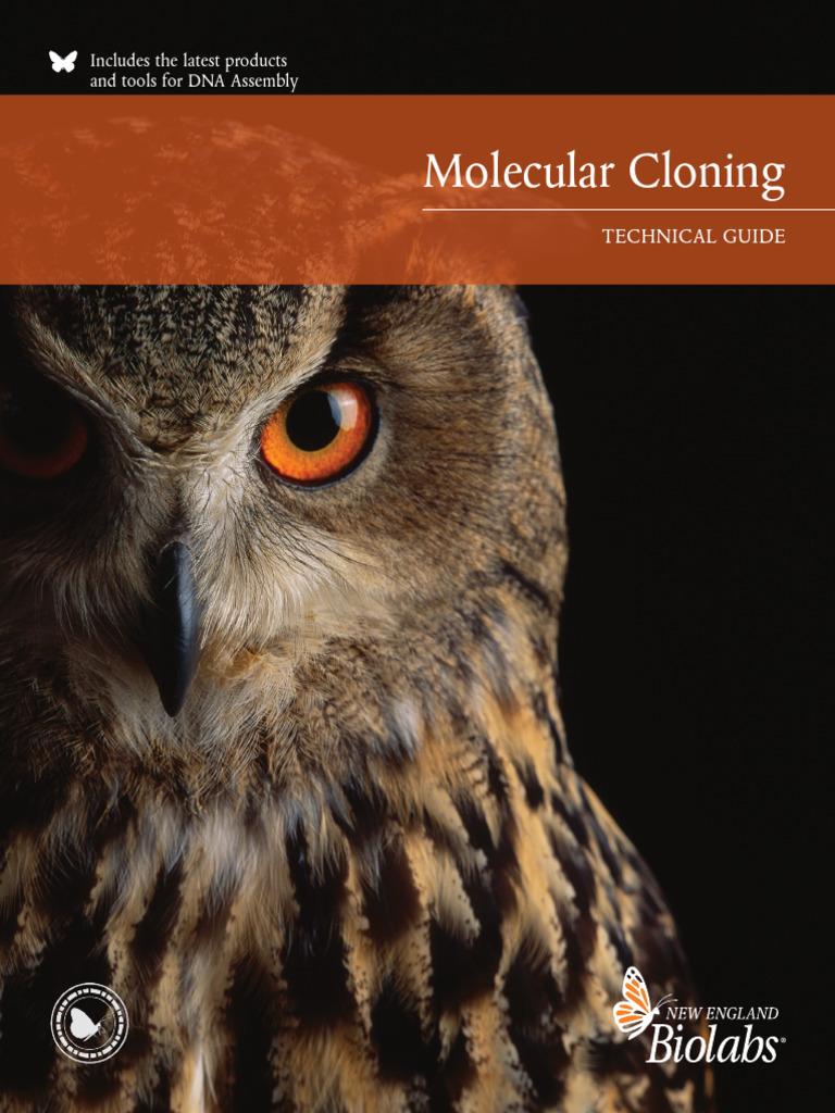 MolCloning Tech Guide | PDF | Molecular Cloning | Polymerase Chain Reaction