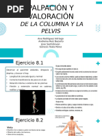 Evaluación Física de Columna Dorsal y Lumbar | PDF | La columna ...