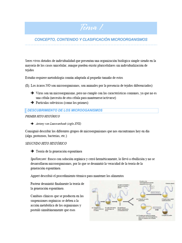 Clasificación y Estructura de Microorganismos | PDF | Redox | Las bacterias