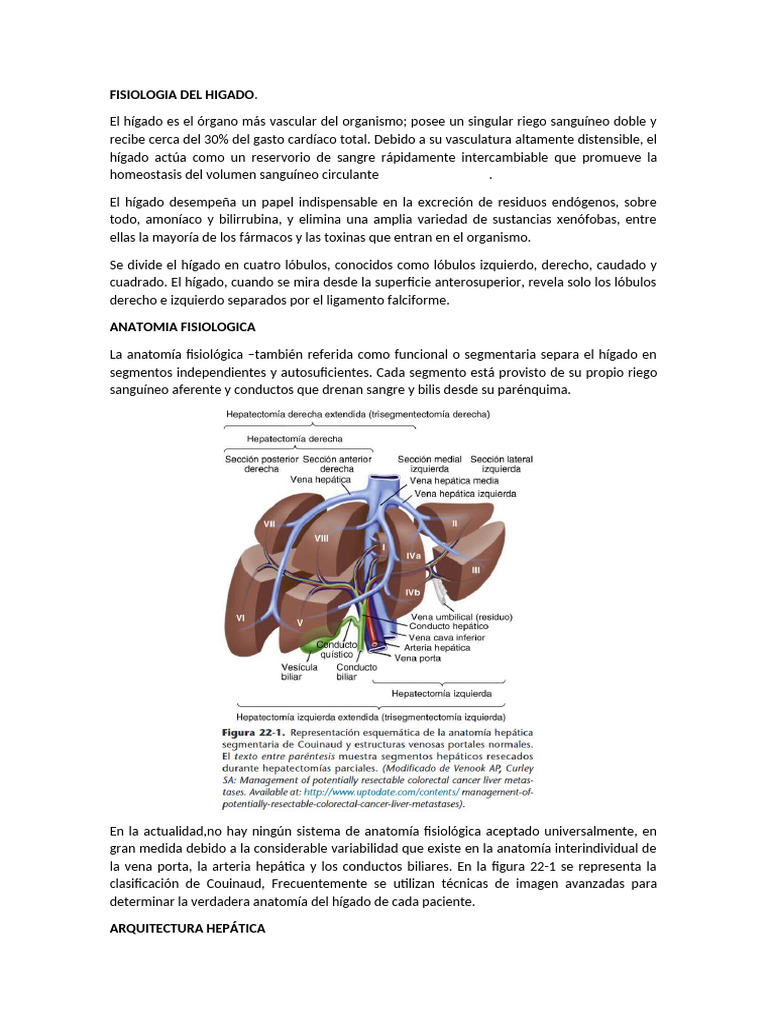 Fisiología y funciones del hígado | PDF | Riñón | Bilis