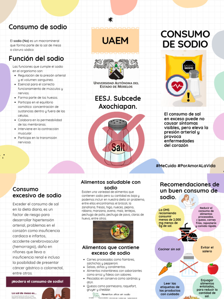 Riesgos del consumo excesivo de sal | PDF | Sodio | Alimentos