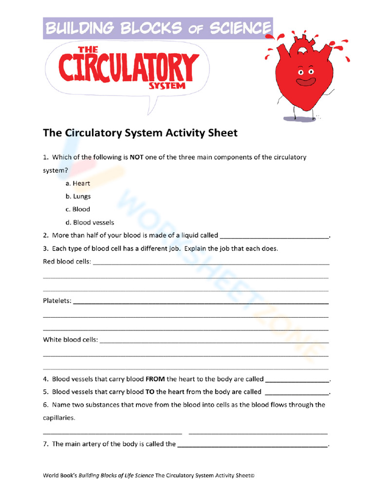 Worksheet - Worksheetzone 4 | PDF