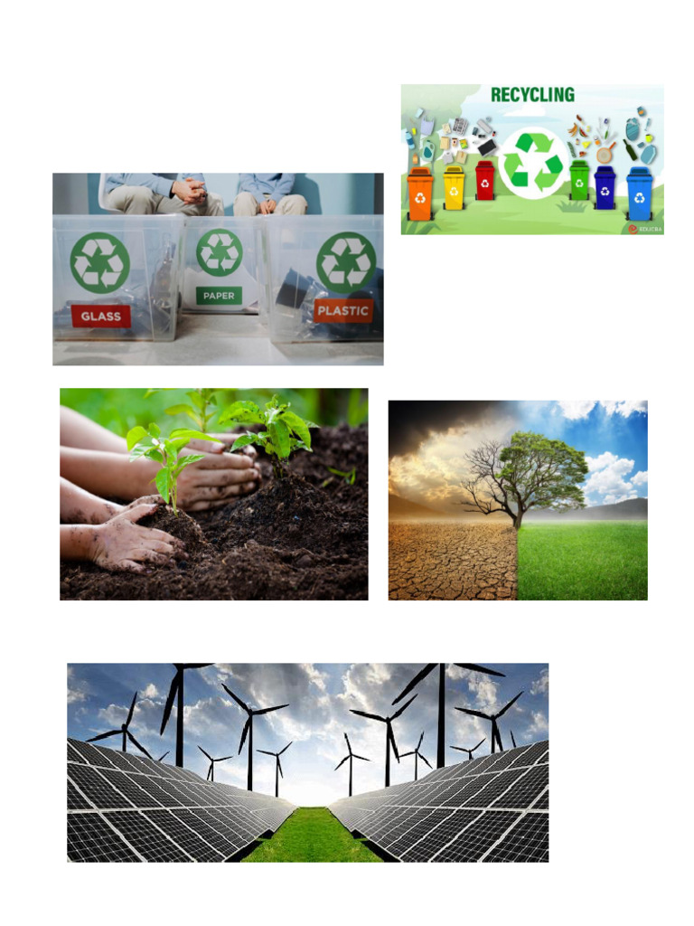 Social Project | PDF