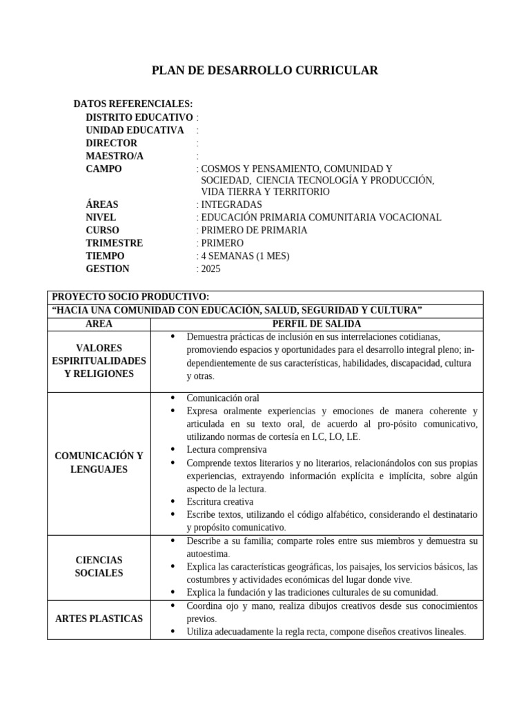 Plan Curricular Primaria 2025 | PDF | Comunidad | Comunicación