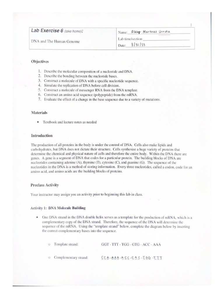 Lab Exercise 6 (Take Home) | PDF