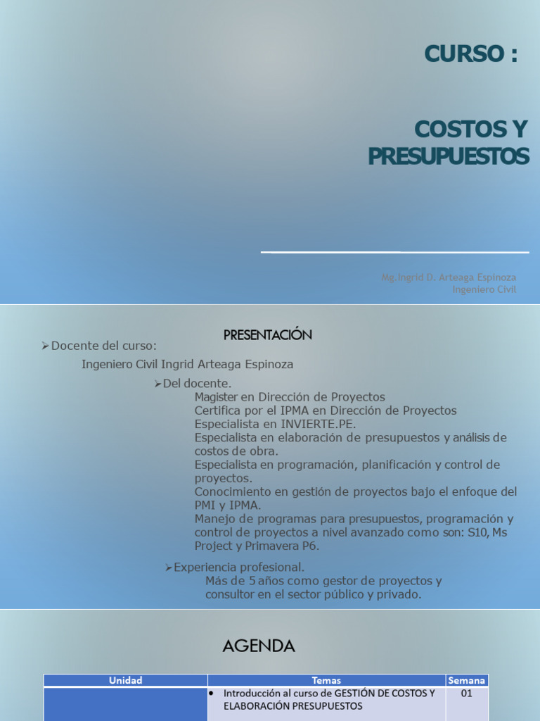 Curso de Costos y Presupuestos en Proyectos | PDF | Presupuesto | Software